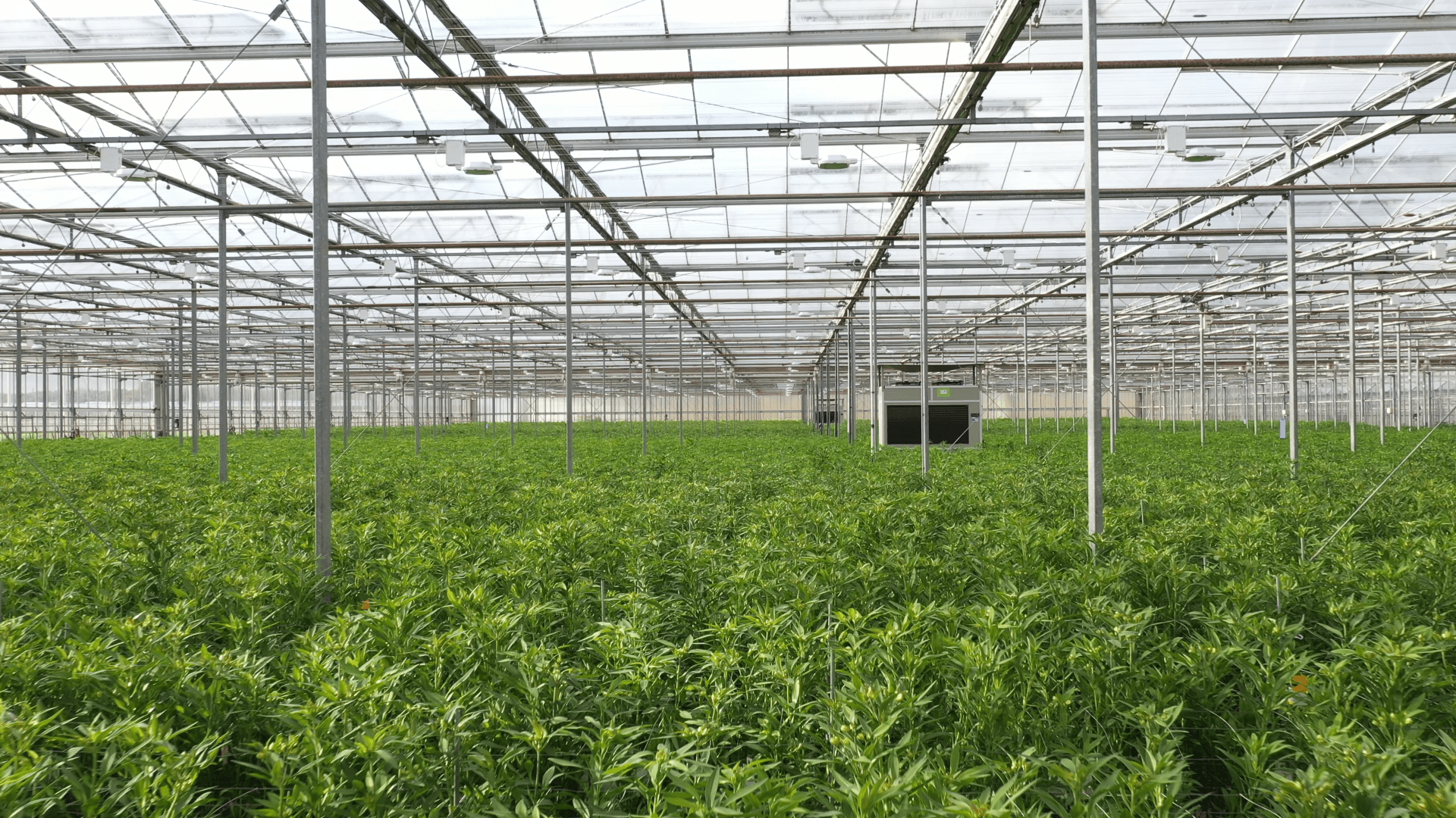 plant empowerment with DryGair humidity control