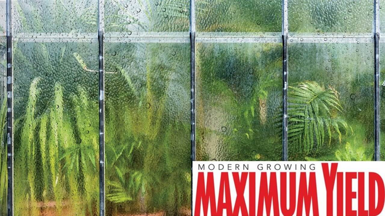 humidity maximum yield|water vapor released from leaf pores in transpiration evapotranspiration affected by humidity|DryGair wrote about humidity control in greenhouses and growing facilities for "Maximum Yield" website. 