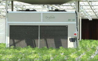 DryGair cannabis DG-12 greenhouse|||||||||||||
