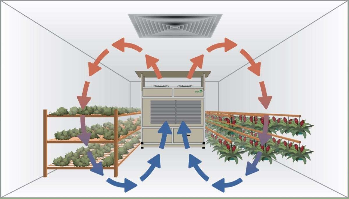 Drying Rooms DryGair Greenhouse Dehumidifiers
