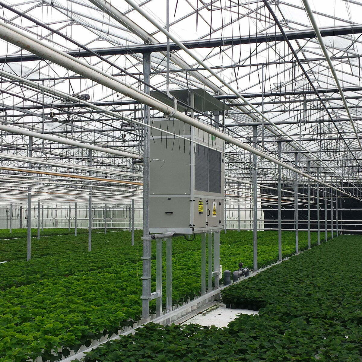 DryGair - Deshumidificador de invernadero eficiente - cultivo de próxima generación