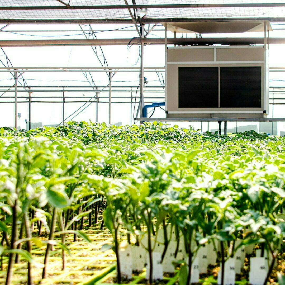 Dehumidification DryGair Greenhouse Dehumidifiers