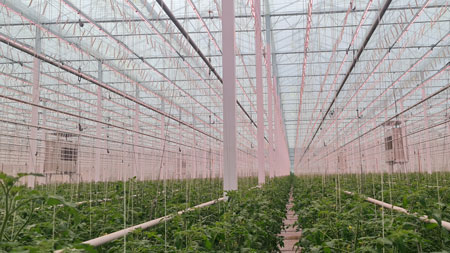 Miljøgartneriet Success Story